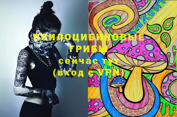 гидропоника Балахна