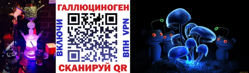 Псилоцибиновые грибы Cubensis  Рудня 